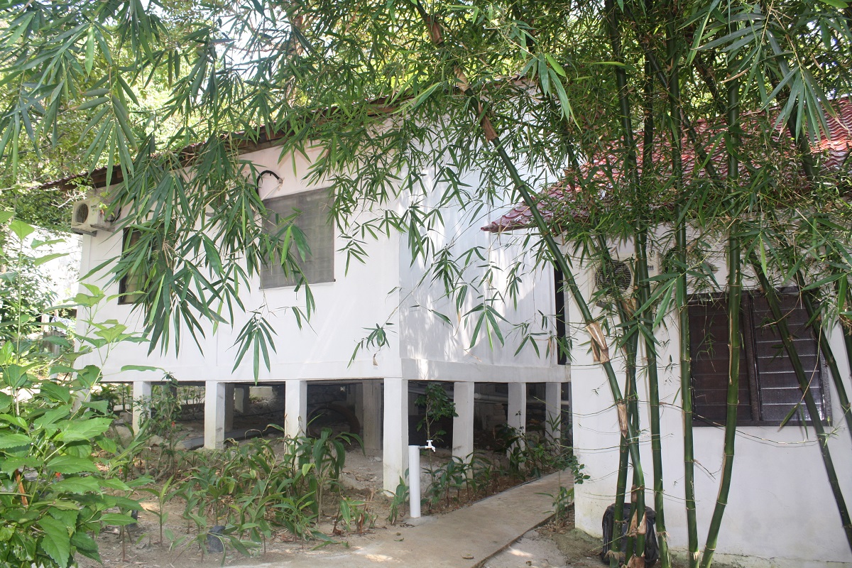 Perhentian Tropicana Inn Perhentian Island